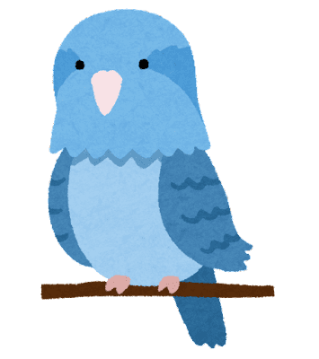 Bird mameruriha inko blue